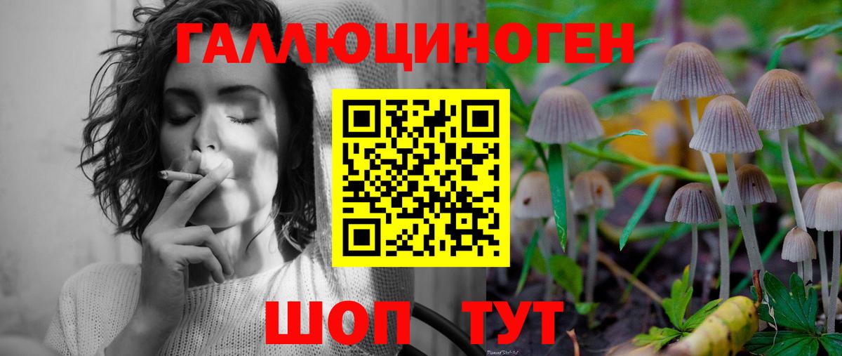 Курчатов  Псилоцибиновые грибы Magic Shrooms  Псилоцибиновые грибы ЛСД  Вход с VPN 