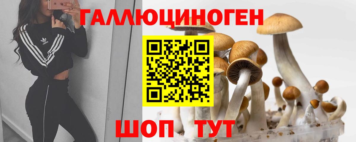 Галлюциногенные грибы Magic Shrooms Курчатов